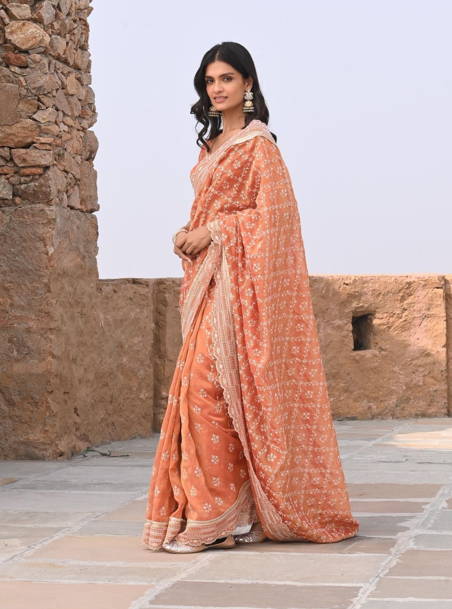 Mehram Luxe Tissue Burnt Orange Saree