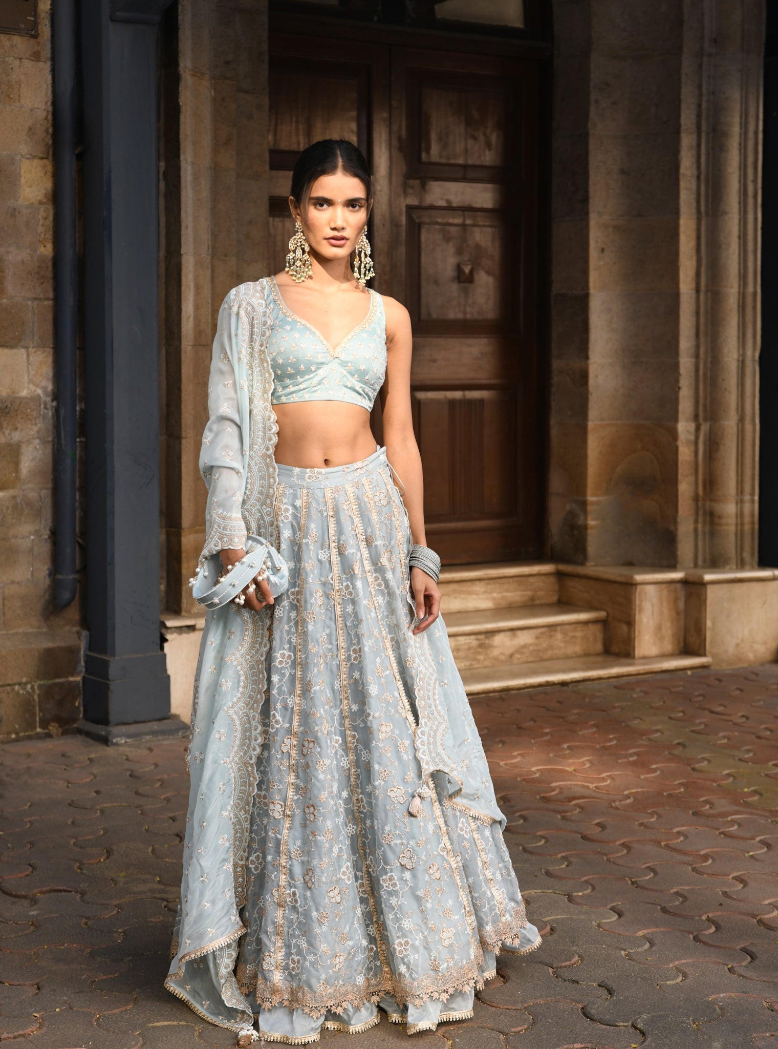 Bimli Organza Light Blue Lehenga