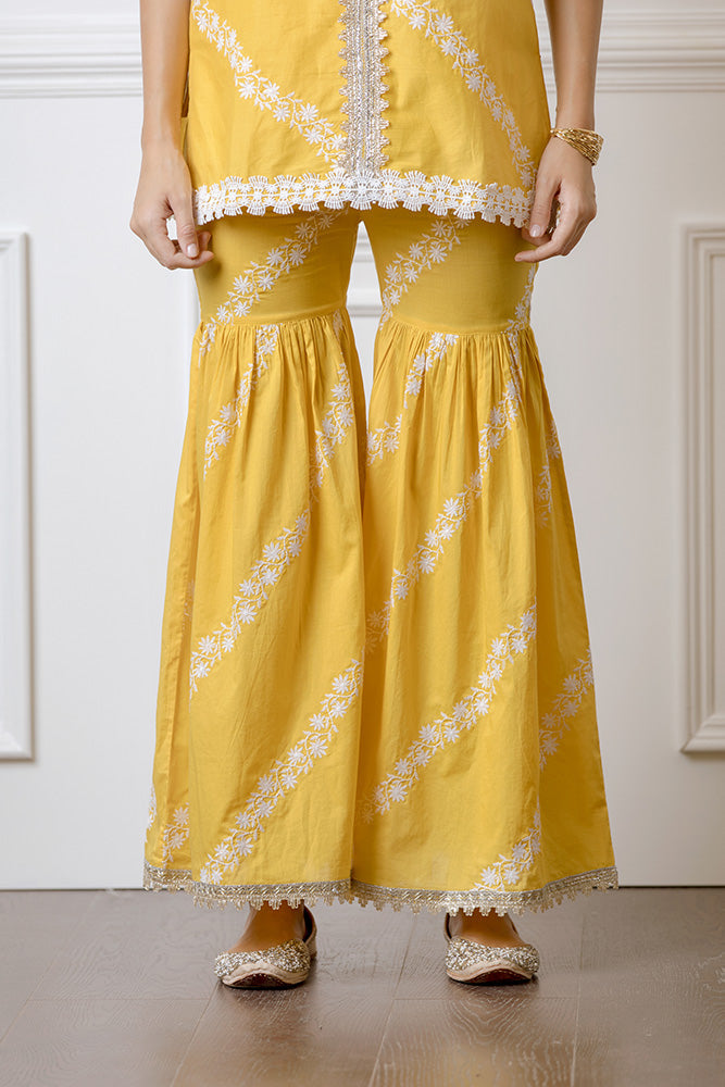 Mulmul Aralia Garara