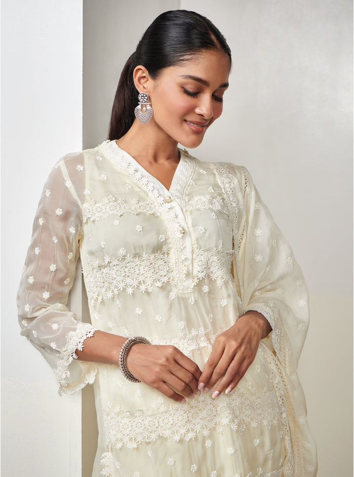 Mulmul Organza Nessa Kurta