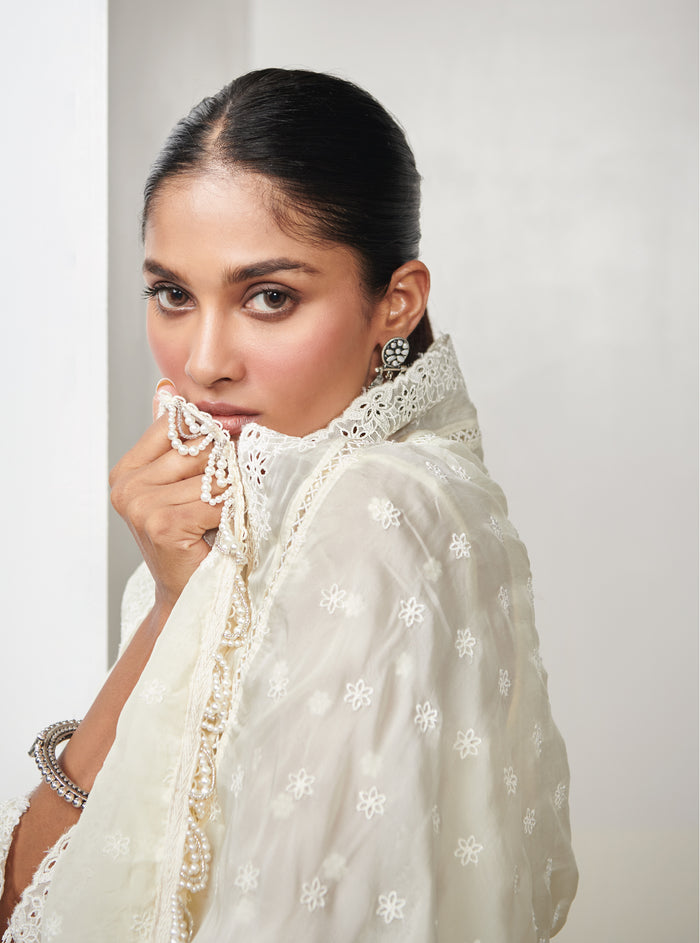 Mulmul Organza Nessa Kurta